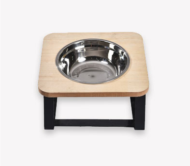dogs bowl
