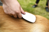 Pet Grooming Self Cleaning Slicker Dog Brush for Long And Short Hair