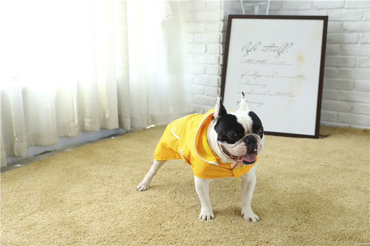 Promotional fashion design printed big dog raincoat