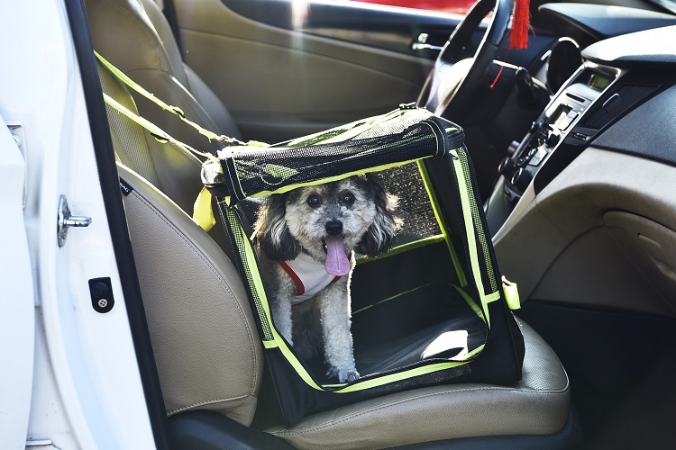 Petstar Easy Carry Car Front-seat Dog Carrier