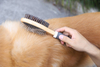 Wooden TPR Double-side Brush Pet Grooming Brush