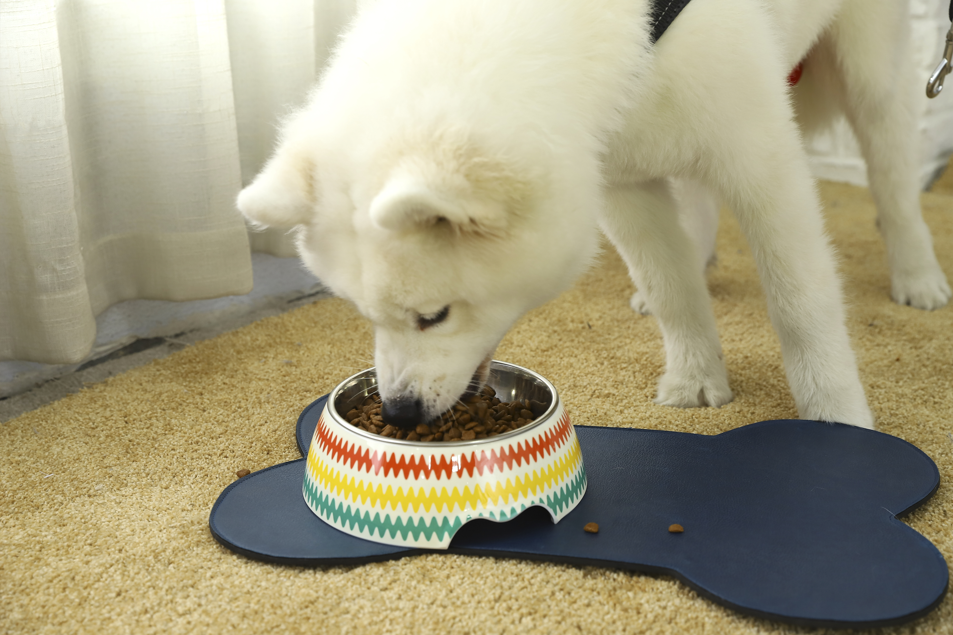 Bone Shape Wholesale dog feeding mat, Pet Bowl Mat,Food Pet Feeding Mat with cheap price