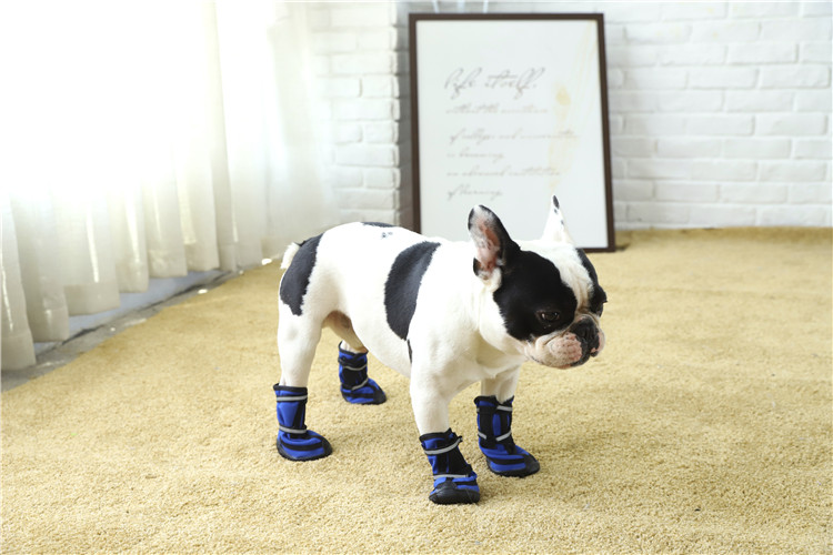 Professional Manufacturer Supplier Black Waterproof Dog Shoes
