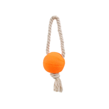 Playing Fetch Medley Balls Pet Puppy Dog Chew Toy for Aggressive Chewers