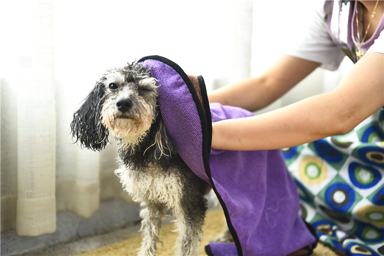 Eco-Friendly Polyester soft Pet Dog Bath Towel