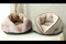 High Quality Handmade Cozy Bed Pet,Slipper Shape Puppy Cat Foldable Dog Bed