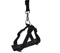 Competitive Hot Product PP Black Classic Comfortable Dogs Harness