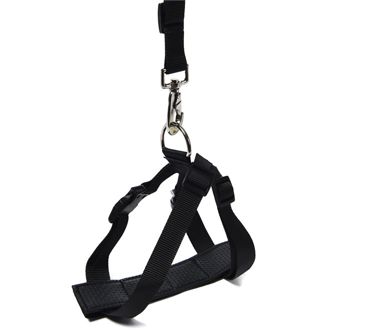 Competitive Hot Product PP Black Classic Comfortable Dogs Harness