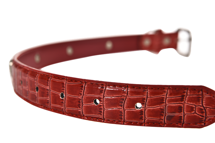 Super Quality Pu Red Custom Luxury Dog Collar