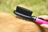 Pets Products Private Label Double Sided Grooming Pet Dog Brush