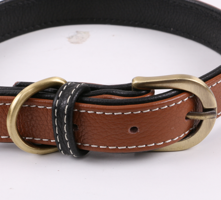 Thick durable padded leather dog collar with metal buckles