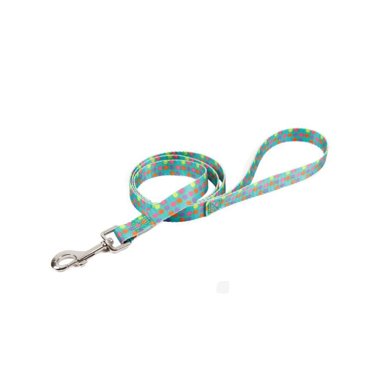 Pet Heavy Duty Wholesale Nylon Dog Leash