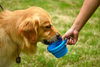 High Quality Drink Food Blue Pet Folding Dog Bowl