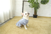 Teddy Summer Fancy Luxury Puppy Lattice Dog Dress