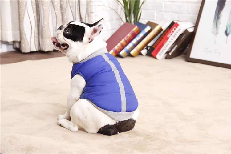 Custom Logo Polyester Warm Dog Winter Coats For Puppy