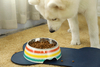 Bone Shape Wholesale dog feeding mat, Pet Bowl Mat,Food Pet Feeding Mat with cheap price