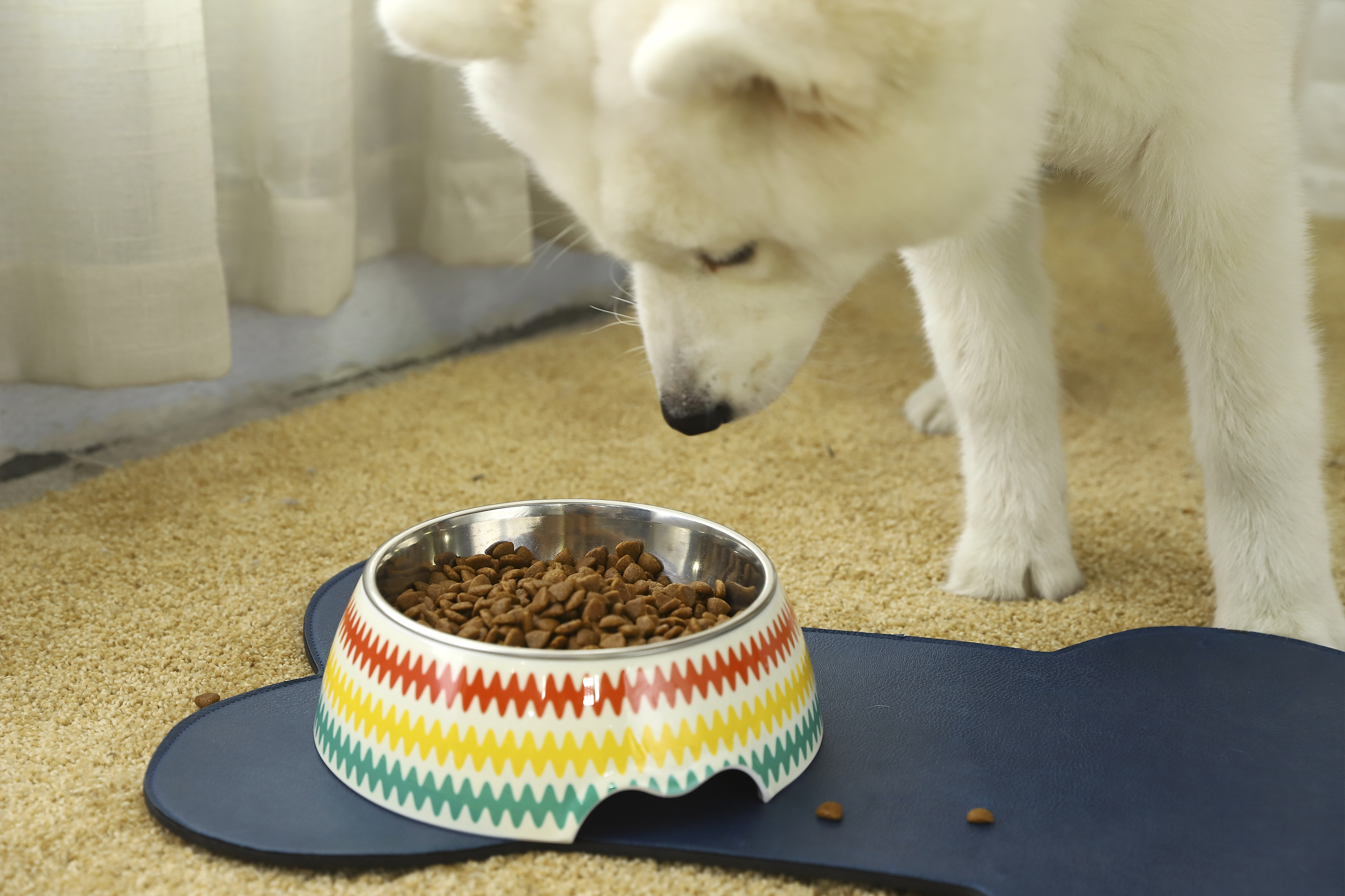 Bone Shape Wholesale dog feeding mat, Pet Bowl Mat,Food Pet Feeding Mat with cheap price