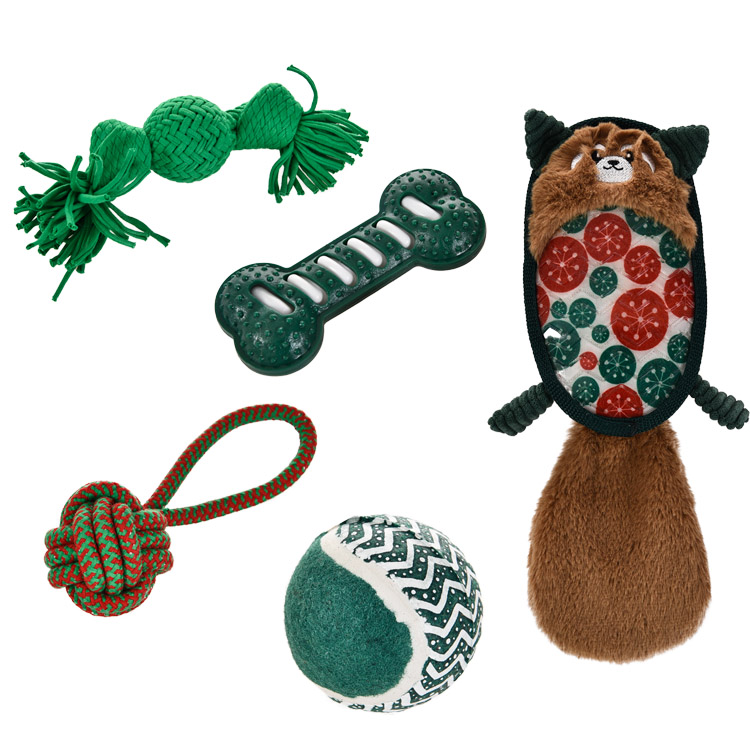Christmas Fashion 5 Pieces Squeaker Chew Pet Toy Gift Set