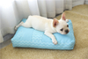 New Design Wave Pattern Wholesale Pet Dog Cushion