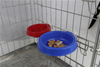 Portable Red Travel Food Water Dog Pet Feeding Bowl