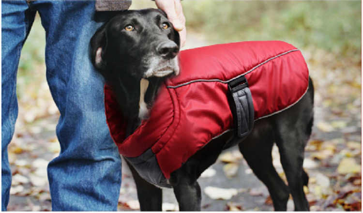 Cold Weather Autumn Windproof Fleece Warm Dog Jacket