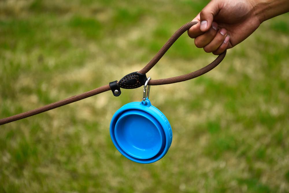 High Quality Drink Food Blue Pet Folding Dog Bowl