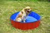 Cool Summer Funny Water Game PVC Inflatable Pet Dog Swimming Pool