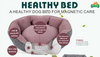 Factory Supply Cheap Healthy Luxury Dog Sofa Bed