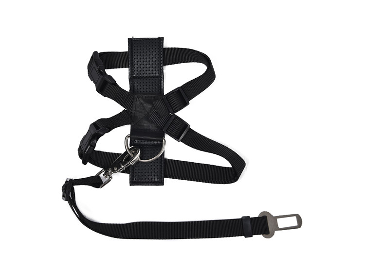 Competitive Hot Product PP Black Classic Comfortable Dogs Harness