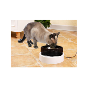 Wholesale 1.6l black dog automatic pet water feeder