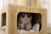 5 Levels Wooden Modern Cat Tree Tower Cat's Activity Furniture