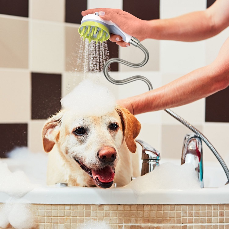 Dog Massage Pet Shower Brush, Splash-proof Grooming Pet Brush, Anti-slip Holder Cozy Pet Cleaning Brush