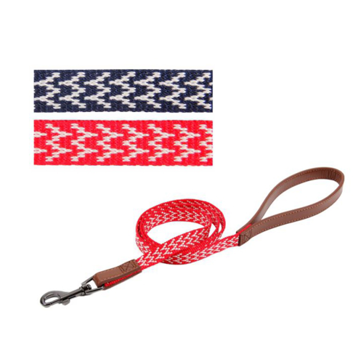 Custom Printing Eco-Friendly Red Nylon Dog Leash