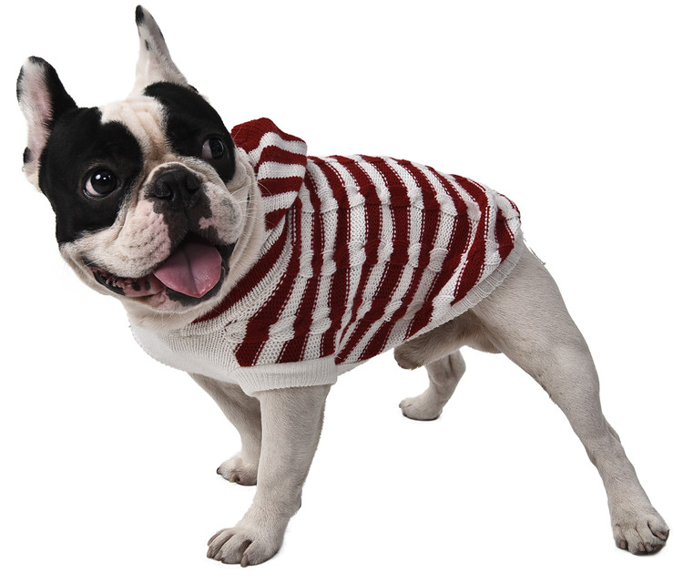 Charming Rainbow Stripe Dog Hoodie Sweater
