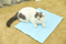 Wholesale Cat Pet Training Mat, Indoor Pet Cat Dog Puppy Ice Pad