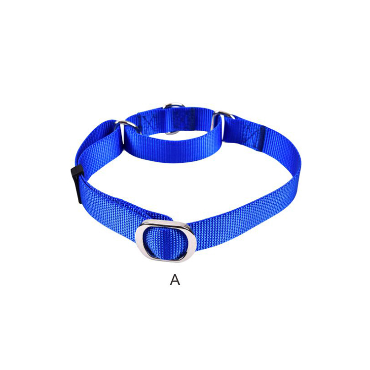 Durable PP pure color dog training collar with belt buckle