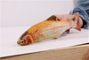 High Quality Polyester Home Interactive Cheap Cute Fish Cat Toy