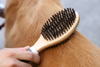 Wooden TPR Double-side Brush Pet Grooming Brush