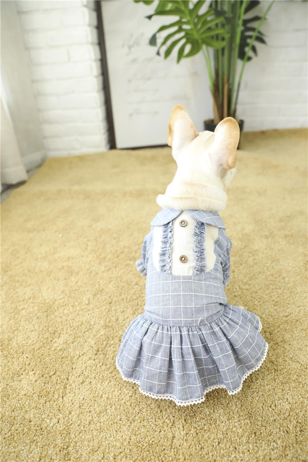 Teddy Summer Fancy Luxury Puppy Lattice Dog Dress