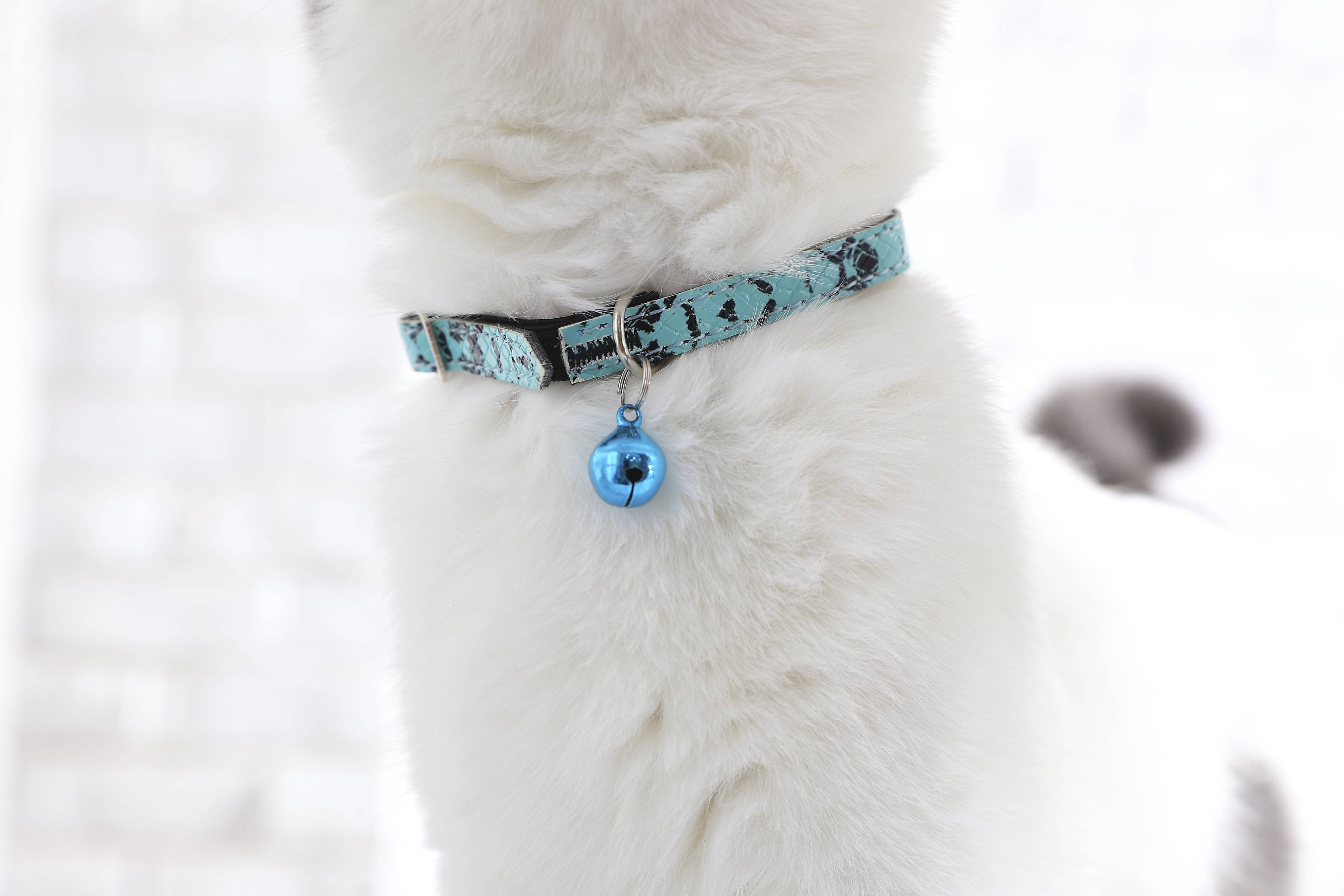 Breakaway Safety Durable Comfortable Soft PU Leather Cat Collar With Bell