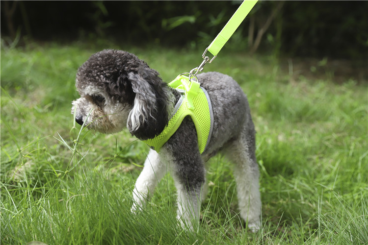 No Pull Dog Harness,Easy Dog Walking Harness,Running Dog Harness