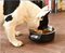 OEM Logo Pet Feeder Wholesale Stainless Steel Dog Bowl