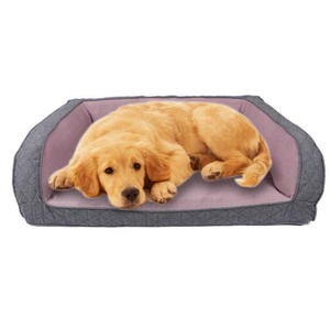 Widely Used Foam Dog Sofa Bed