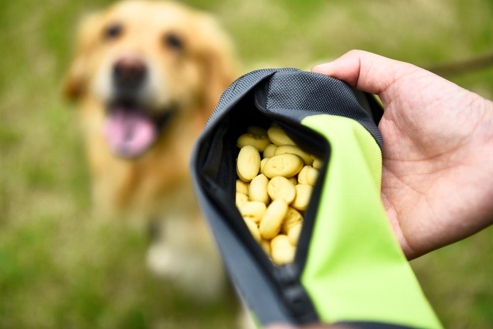 Waterproof Pet Dog Food Training Travel Bag