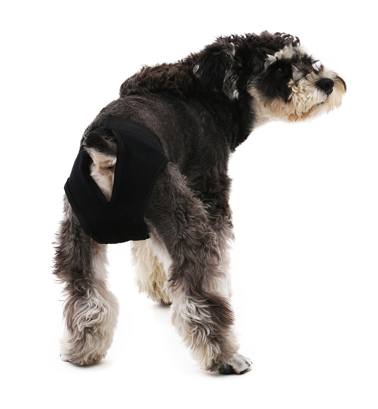 Washable Physiological Pants Cotton Pet Dog Diaper