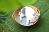 New Supplier Comfortable Breathable Felt Pet Cat Bed Without Cover