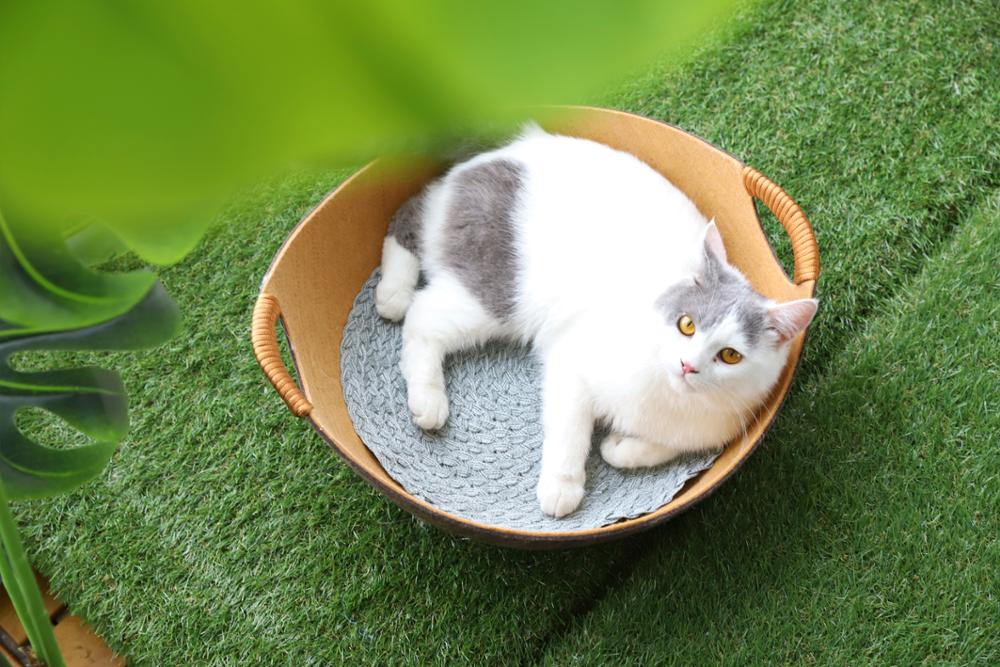 New Supplier Comfortable Breathable Felt Pet Cat Bed Without Cover