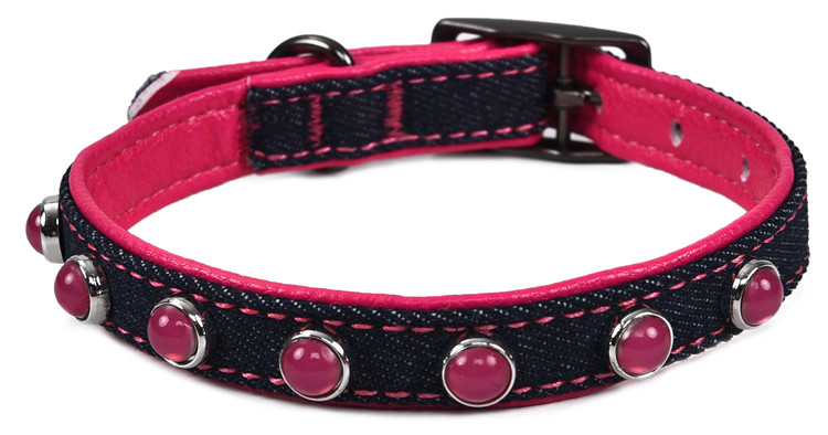 Competitive Hot Product PP Luxury Dog Collar Making Supplies