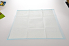 Pet Training Mat Dog Pad,Indoor Puppy Dog Training pads,Biodegradable Dog Pee Pad