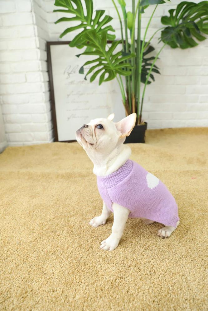 New Winter Hand Knitted Organic Fashion Purple Dog Sweater